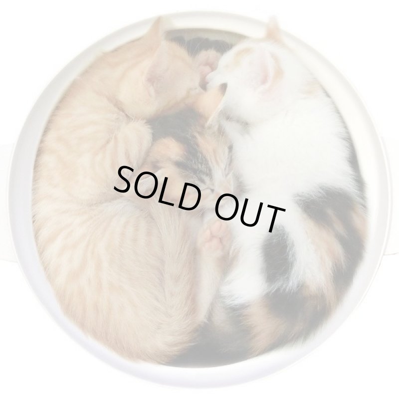 画像5: 土鍋型ネコベッド(ヒーター付き） (5)