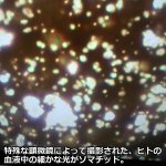 画像6: 波動エネルギーで空間浄化「神秘のソマチッドピラミッド〜ソマチッド入り〜」 (6)