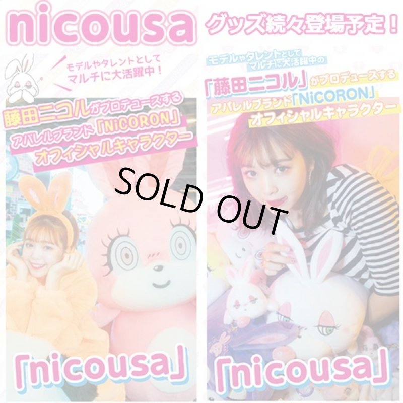 画像5: nicousaバニティーポーチ (5)