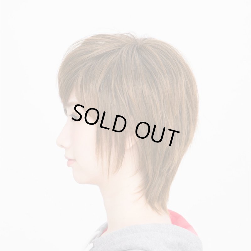 画像2: レディースウィッグ「フェザーレイヤー (ミルキーブラウン)」 (2)