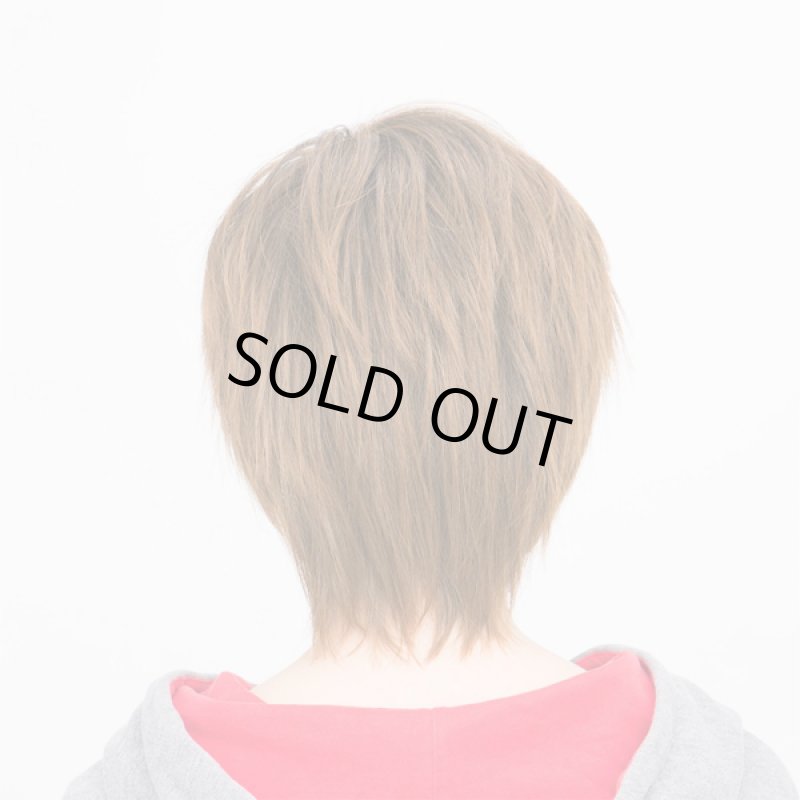 画像3: レディースウィッグ「フェザーレイヤー (ミルキーブラウン)」 (3)