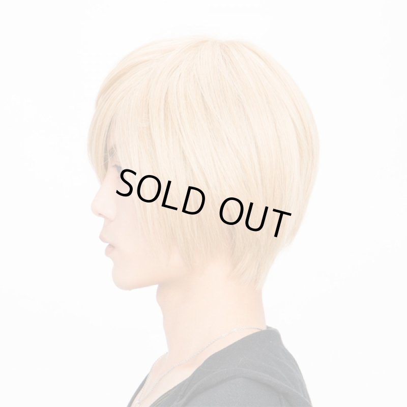 画像2: メンズウィッグ「シェイドショート (ハニーゴールド)」 (2)