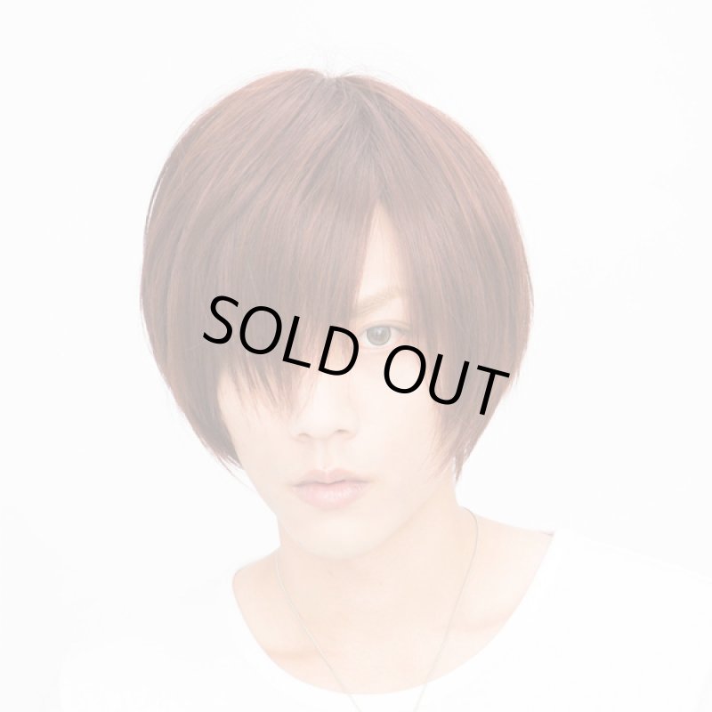 画像4: メンズウィッグ「シェイドショート (カシスブラウン)」 (4)