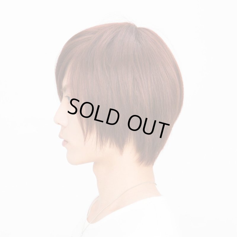 画像2: メンズウィッグ「シェイドショート (カシスブラウン)」 (2)