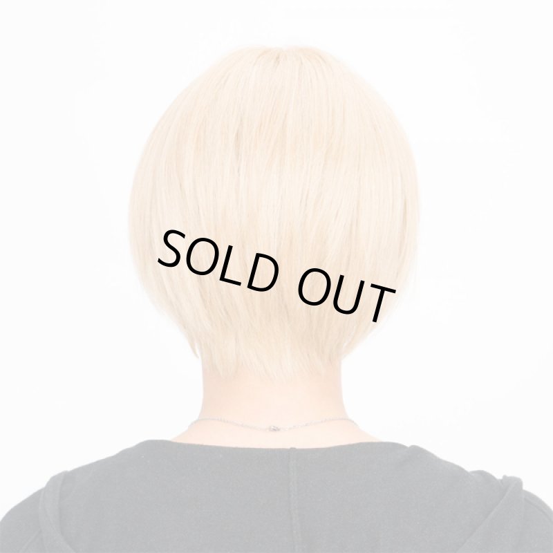 画像3: メンズウィッグ「シェイドショート (ハニーゴールド)」 (3)