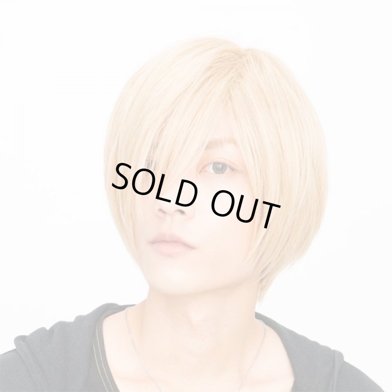 画像4: メンズウィッグ「シェイドショート (ハニーゴールド)」 (4)