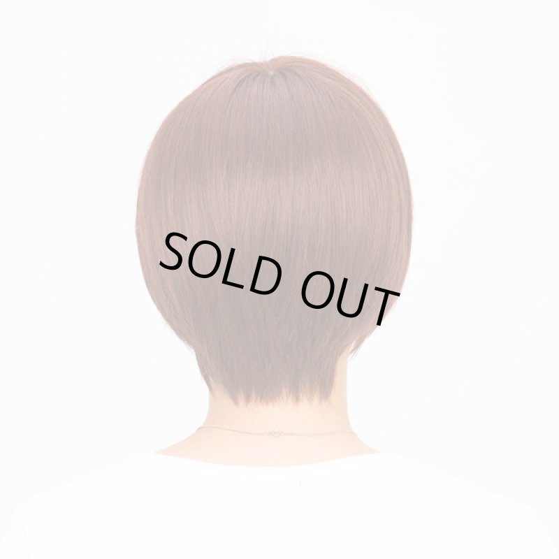 画像3: メンズウィッグ「シェイドショート (カシスブラウン)」 (3)