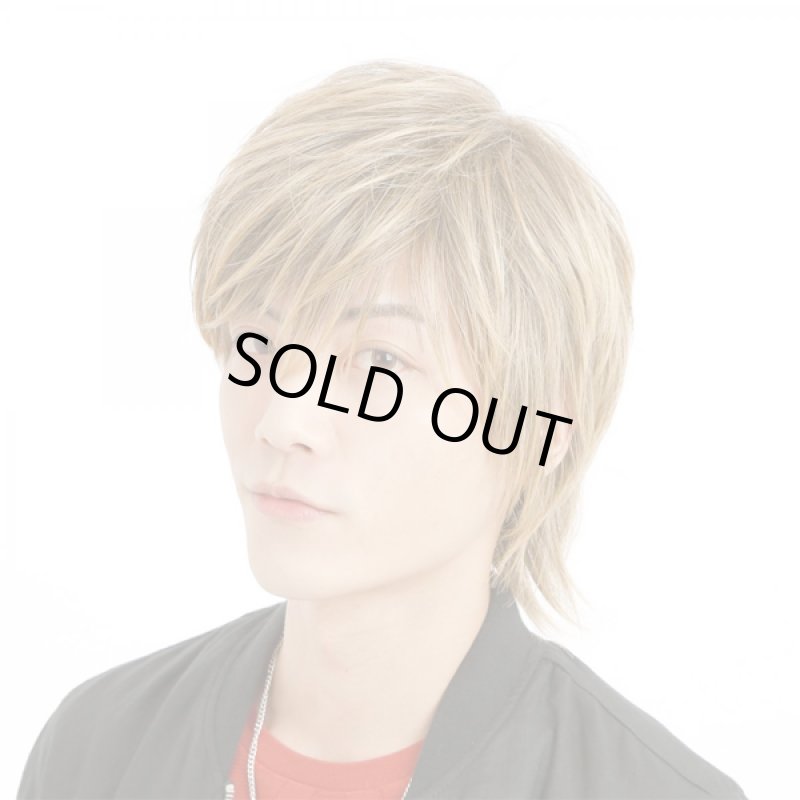 画像4: メンズウィッグ「リープウルフ (ナチュラルブロンド)」 (4)