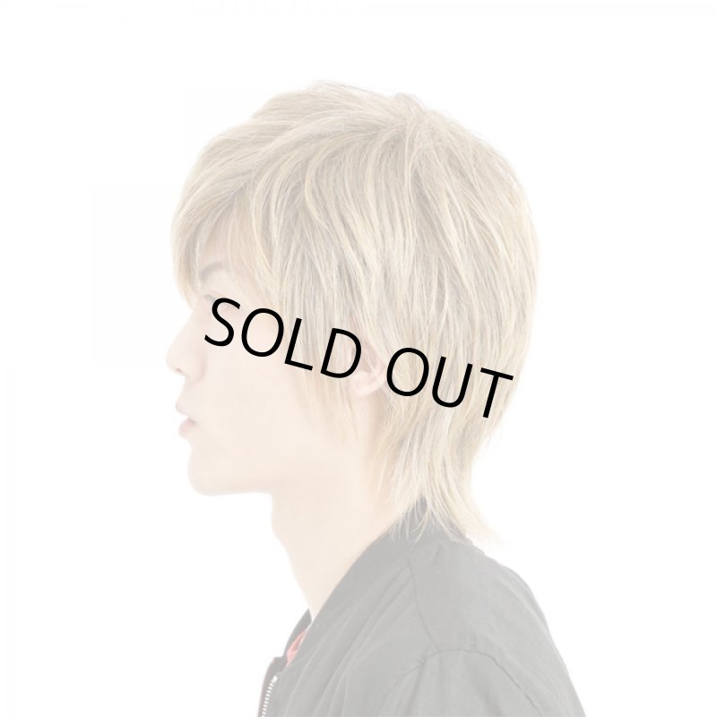 画像2: メンズウィッグ「リープウルフ (ナチュラルブロンド)」 (2)