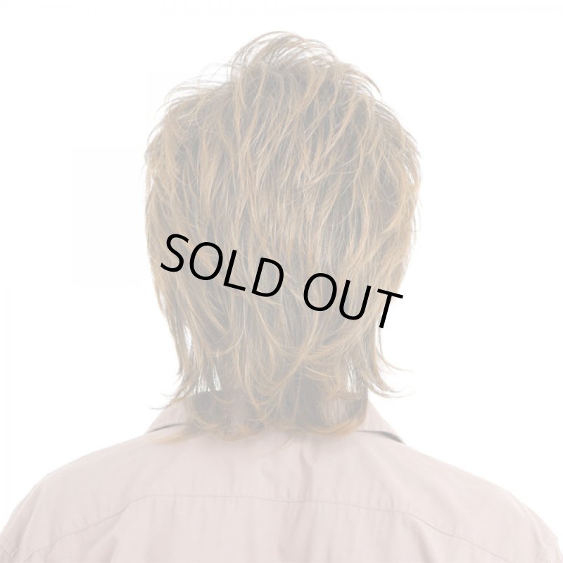 画像3: メンズウィッグ「イナズマウルフ (ビターシナモンブレンド)」 (3)