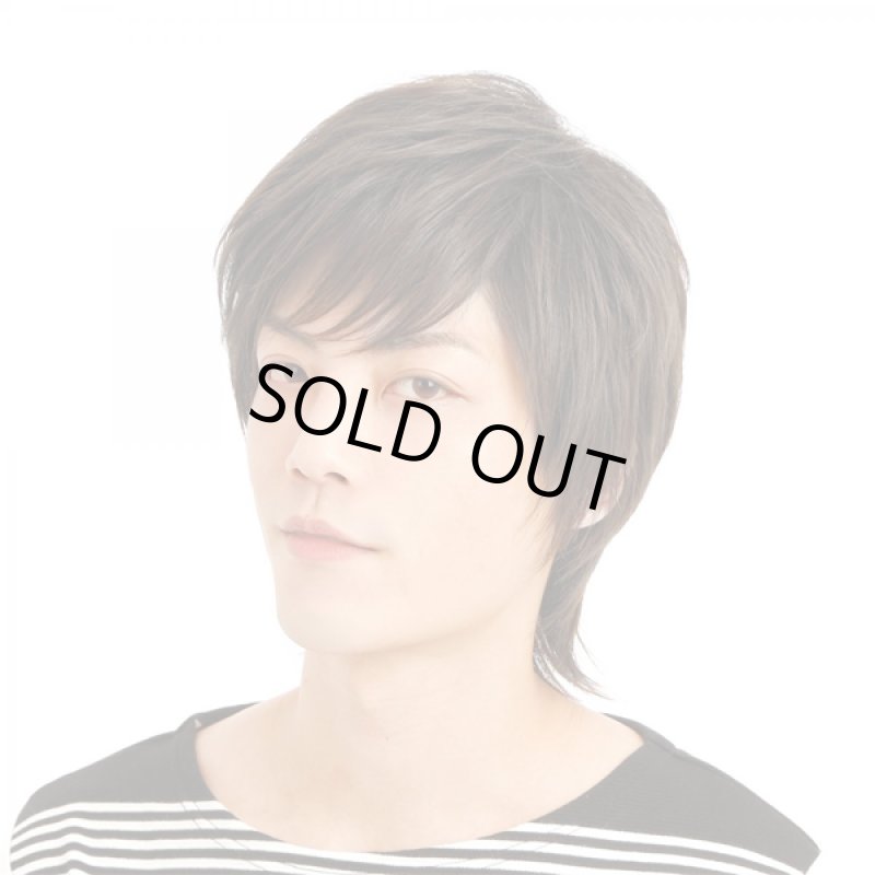 画像4: メンズウィッグ「リープウルフ (ローライトブラウン)」 (4)