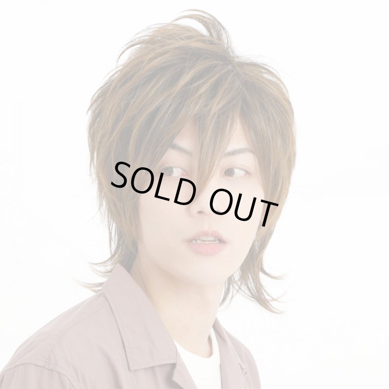 画像4: メンズウィッグ「イナズマウルフ (ビターシナモンブレンド)」 (4)