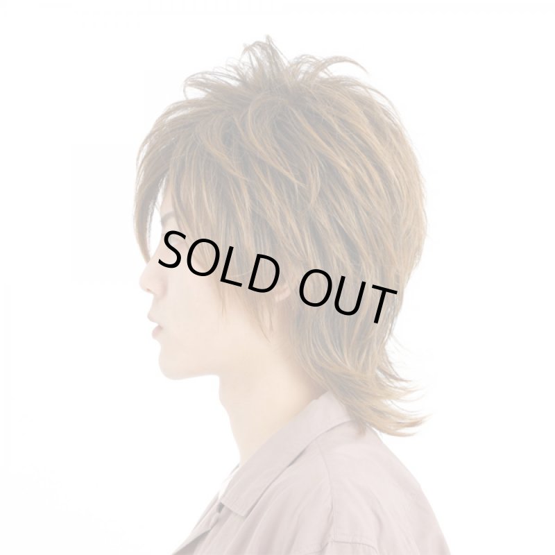 画像2: メンズウィッグ「イナズマウルフ (ビターシナモンブレンド)」 (2)