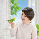 画像2: 毎日おしゃべり天才インコちゃん (2)