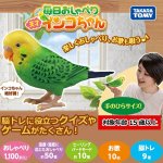 画像1: 毎日おしゃべり天才インコちゃん (1)