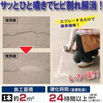 画像2: 噴射するだけひび割れ補修！インスタントスプレーセメント200ml[6本] (2)