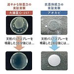 画像5: 家族を守る除菌剤「天然バリアスプレー」80ml[5本] (5)