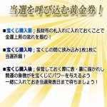 画像5: 当選を呼び込む黄金券！第777回開運宝くじ祈願CARD一攫千金10枚組 (5)