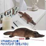 画像3: リアルなポリレジン製！ペットバンク「カモノハシ」 (3)