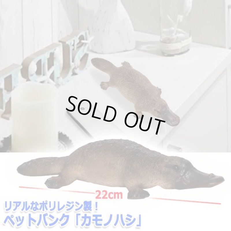 画像3: リアルなポリレジン製!ペットバンク「カモノハシ」 (3)