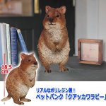 画像3: リアルなポリレジン製！ペットバンク「クアッカワラビー」 (3)