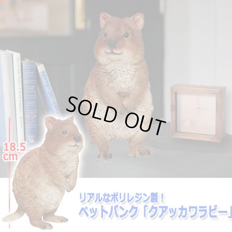 画像3: リアルなポリレジン製!ペットバンク「クアッカワラビー」 (3)