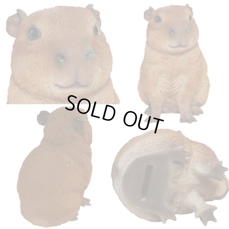 画像2: リアルなポリレジン製！ペットバンク「カピパラ」 (2)