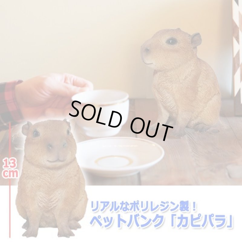 画像3: リアルなポリレジン製！ペットバンク「カピパラ」 (3)