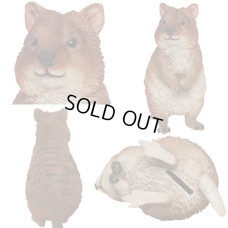 画像2: リアルなポリレジン製!ペットバンク「クアッカワラビー」 (2)