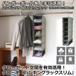 画像1: クローゼット空間を有効活用！クローネ「ハンギングラックスリム」 (1)