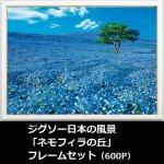 画像1: ジグソー日本の風景「ネモフィラの丘」フレームセット（600P） (1)