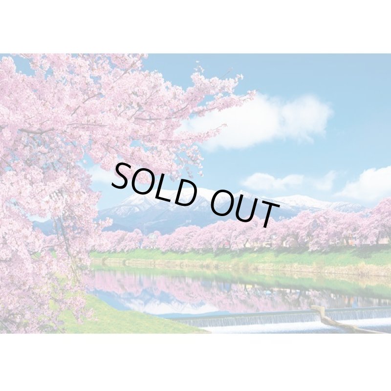 画像2: ジグソー日本の風景「一目千本桜」フレームセット(600P) (2)