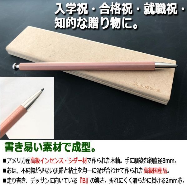 ノック式鉛筆「大人の鉛筆ギフトセット」+替え芯B×5本付きDEME-228