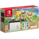 画像2: Nintendo Switch「あつまれどうぶつの森セット」 (2)