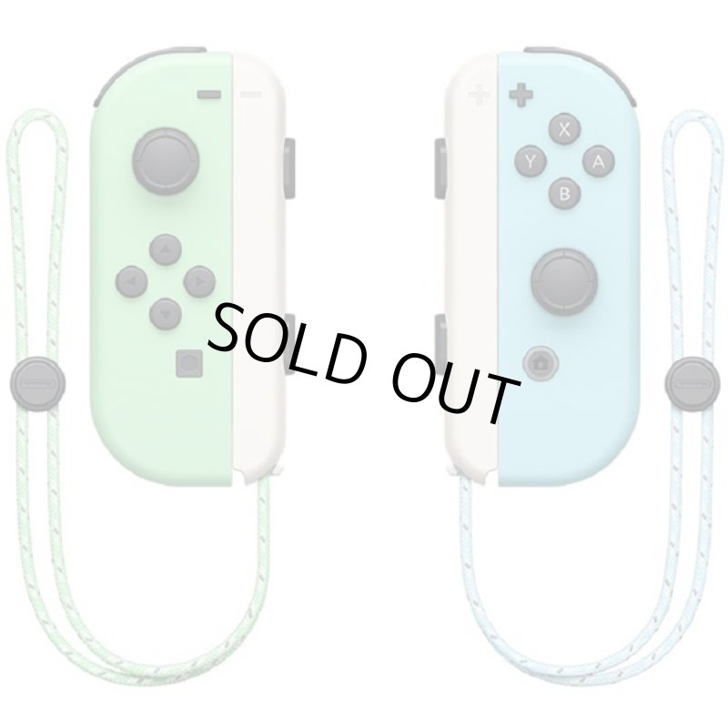 画像4: Nintendo Switch「あつまれどうぶつの森セット」 (4)