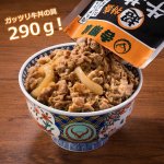 画像2: 吉野家冷凍超特盛牛丼の具10袋セット (2)