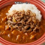 画像5: 吉野家冷凍超特盛牛丼の具5袋セット (5)