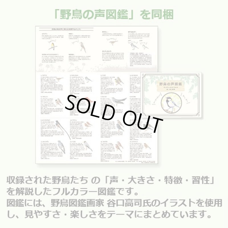 画像6: 日本野鳥の会めざまし時計 (6)