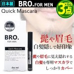 画像1: BRO.[ブロ]FOR MEN部分白髪染めクイックマスカラ[3点] (1)