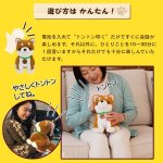 画像9: 音声認識ぬいぐるみ「こんにちワン！しばいぬコウタ」バンダナ付き (9)