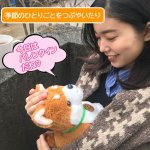 画像6: 音声認識ぬいぐるみ「こんにちワン！しばいぬコウタ」バンダナ付き (6)