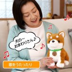 画像4: 音声認識ぬいぐるみ「こんにちワン！しばいぬコウタ」バンダナ付き (4)