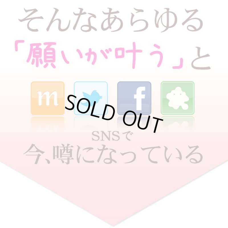 画像5: ココペリVIPウォレット (5)