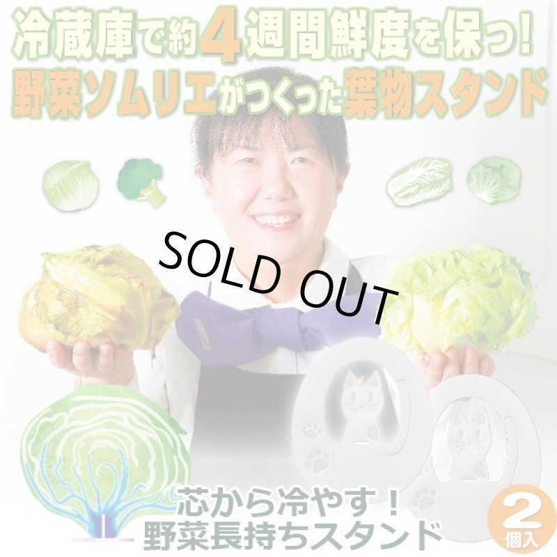 画像1: 芯から冷やす！野菜長持ちスタンド１セット(2個入） (1)