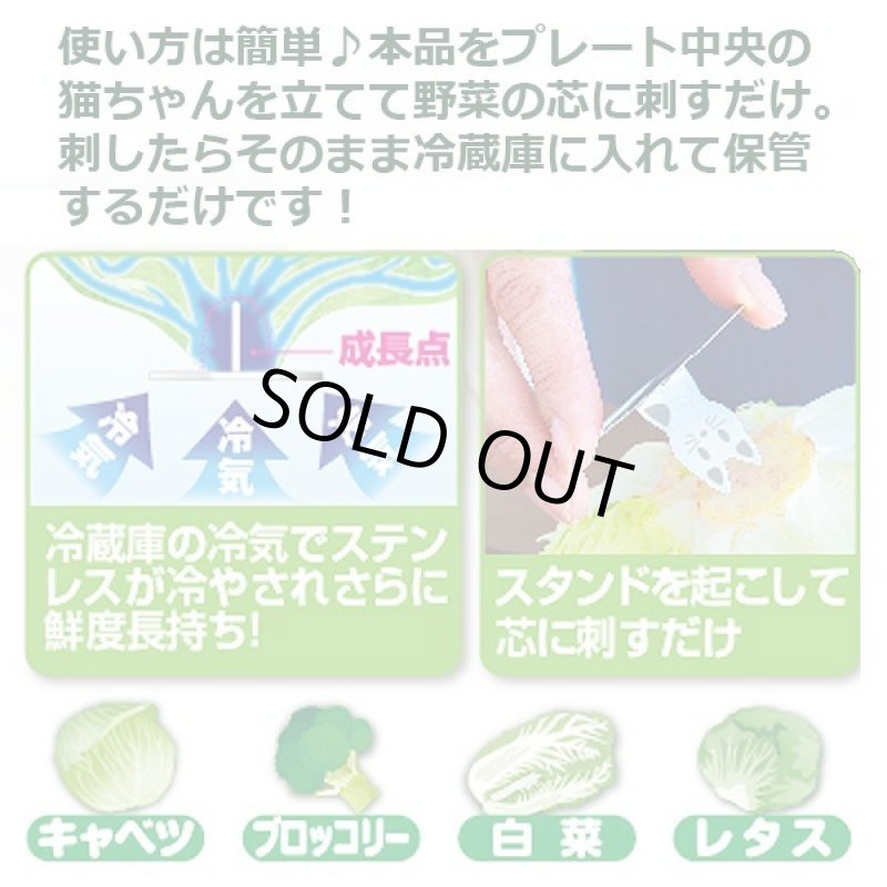 画像2: 送料無料！芯から冷やす！野菜長持ちスタンドお得な3セット(6個入） (2)