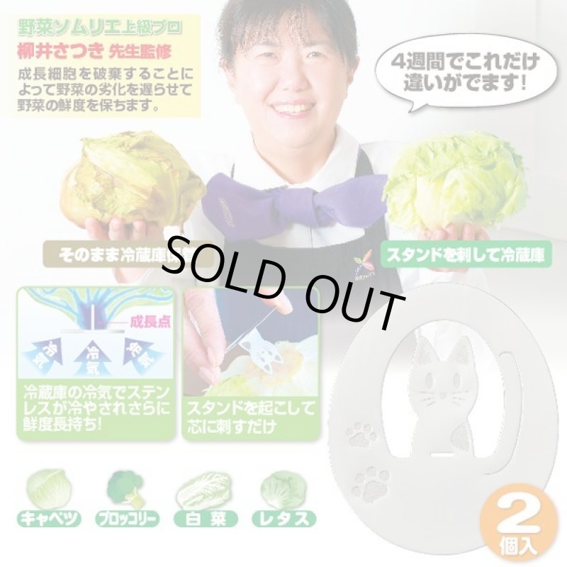 画像3: 芯から冷やす!野菜長持ちスタンド1セット(2個入) (3)