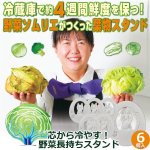 画像1: 送料無料！芯から冷やす！野菜長持ちスタンドお得な3セット(6個入） (1)