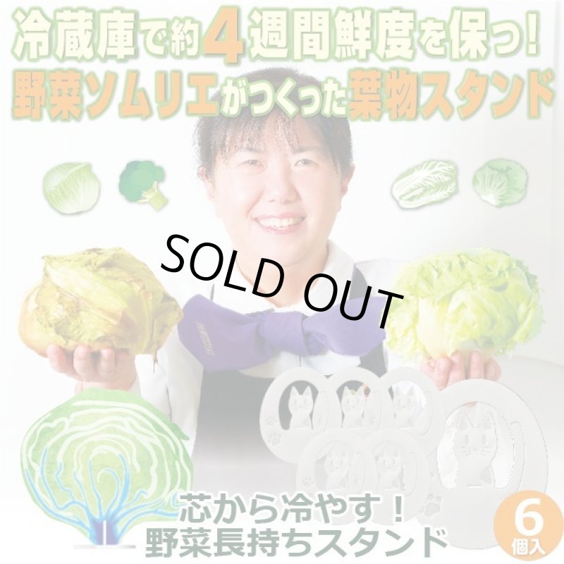 画像1: 送料無料！芯から冷やす！野菜長持ちスタンドお得な3セット(6個入） (1)