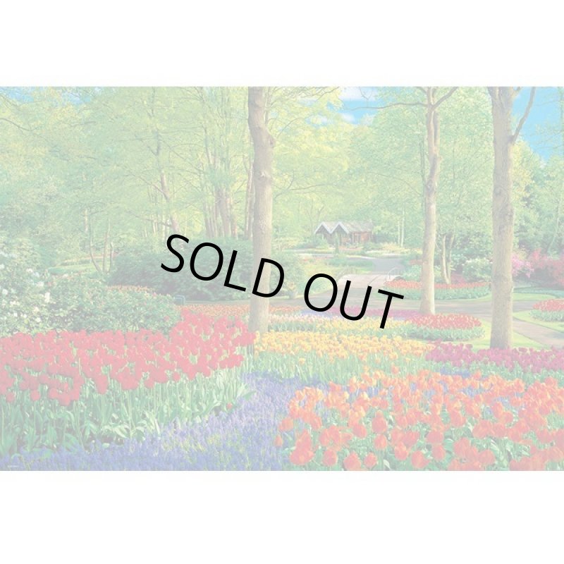 画像2: ジグソー世界の風景「キュウケンホフ公園」フレームセット(1000P) (2)