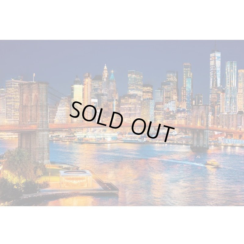 画像2: ジグソー世界の風景「ニューヨークナイトビュー」フレームセット(1000P) (2)